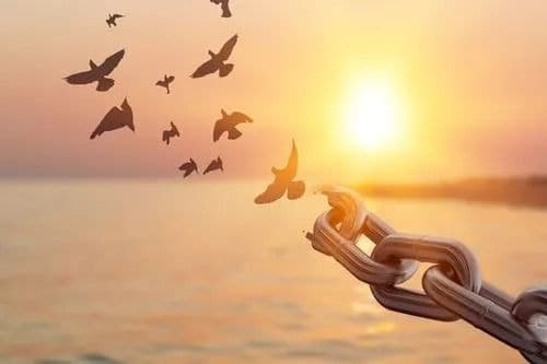 Từ 11/09 đến AI: Hành trình siết chặt vô hình